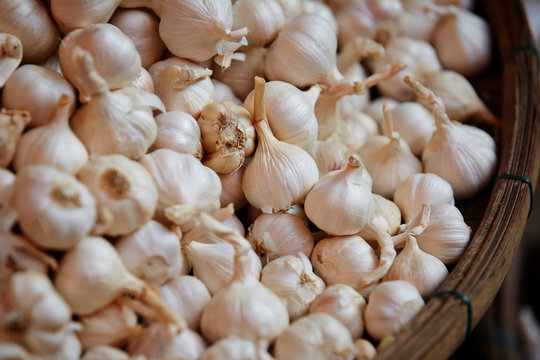 Heap of garlic 