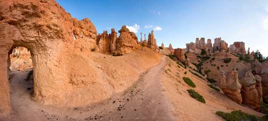 landscape on the bryce canyon in the united states of america