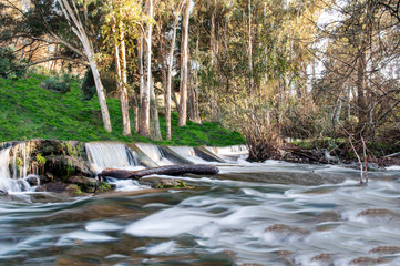 Small waterfall in a forest river
