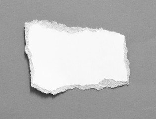 Torn paper background, empty space for text.