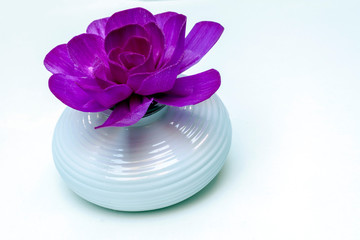 Cupcakes surrounded by white background