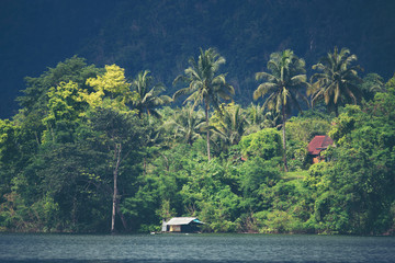 view of tropical forest with lake, Thailand