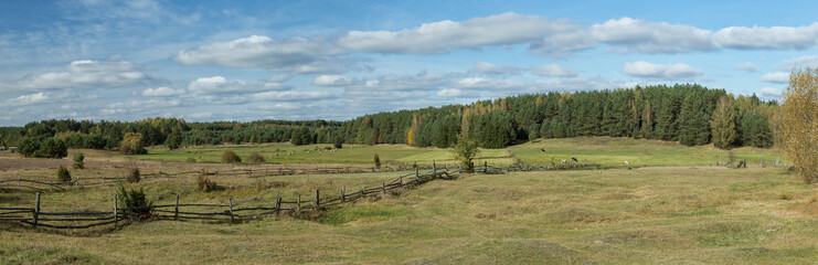Pastures with old fences made of wooden pegs on which cows graze, bales of mown hay lie in the background of the forest and at the top blue sky with white clouds - the idyllic landscape of Podlasie, P