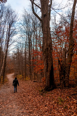 Enjoying Autumn