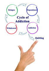 The Cycle of Addiction.