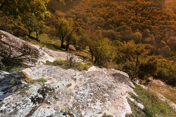 forest and mountain view in the setting sun