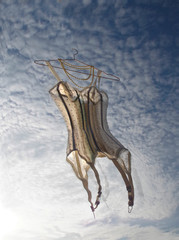 Dreams vintage corset on the sky