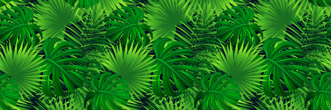 Tropical banner. vector illustration. jungle plants, palms leaves background. Green foliage seamless pattern. Repeated texture. beautiful tropic design for summer,travel,nature, vacation decor.