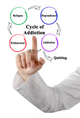The Cycle of Addiction.