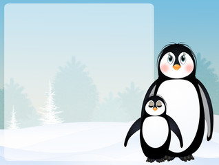 funny penguins in winter