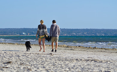 Couple with their dog walking at the beach