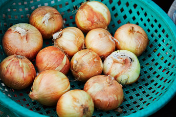 Onions in bowl 