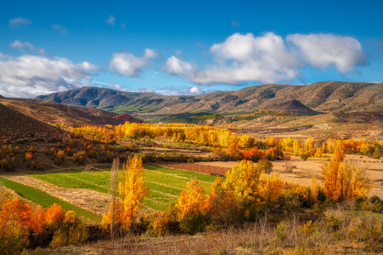 Beautiful autumn desert and mountain landscape photo with some green still in fields along with the reds and golds and oranges of the leaves and a bright blue sky with white clouds
