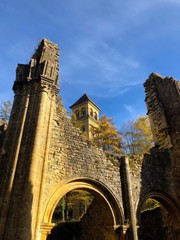 Rovine sotto i colori autunnali, Abbazia di Notre Dame di Orval, Belgio