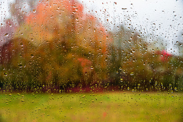 Autumn rainy day © Baronb