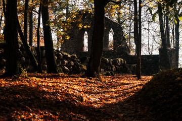 Ruins of Krimulda Castle in autumn
