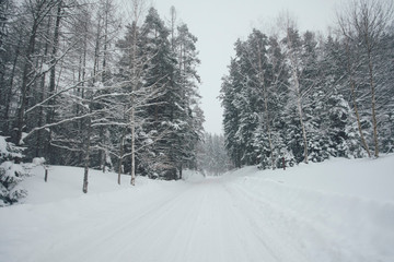 Snowy forest road in winter