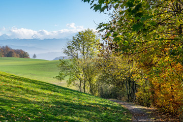 Wanderweg entlang eines Feldes mit Blick auf die nebelverhangenen Schweizer Alpen