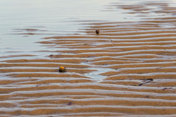 baltic sea germany coast autumn travel relax tranquil