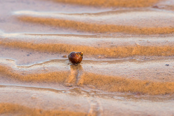 baltic sea germany coast autumn travel relax tranquil