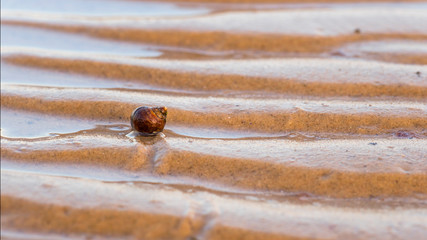 baltic sea germany coast autumn travel relax tranquil