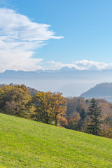 Fototapeta premium Wanderweg entlang eines Feldes mit Blick auf die nebelverhangenen Schweizer Alpen