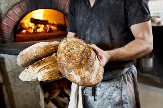 A baker holding several freshly baked wood oven bread loaves in his hands