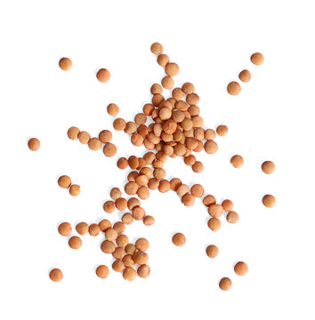 Brown Lentils Isolated On White Background