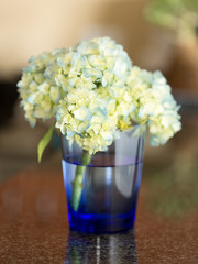 Blue Hydrangea