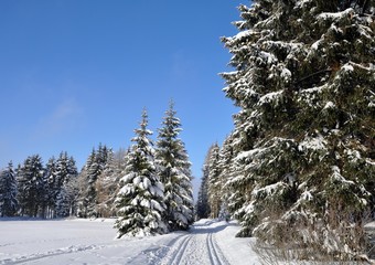Winter in Ernstthal