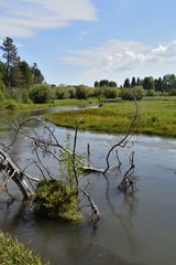 Wood River in Jackson Kimball State Park Oregon