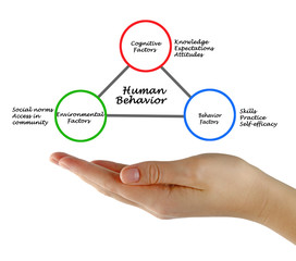 Determinants of Human Behavior