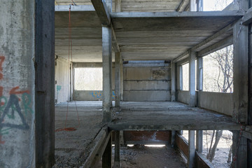 Climbing rope in plant