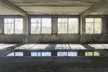 Reflections in puddle