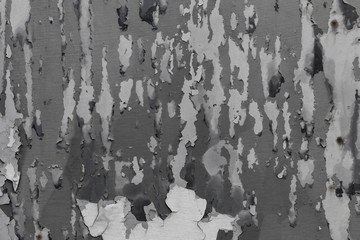 Textur Grunge