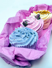 Cupcakes surrounded by white background