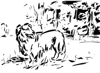 a happy dog at the meadow, hand drawn by a brush with transfer ink