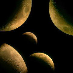 Luna crescente 23% © Steve Fossiant