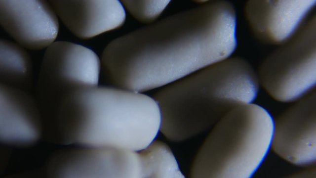 Dry active high-speed yeast under the microscope.