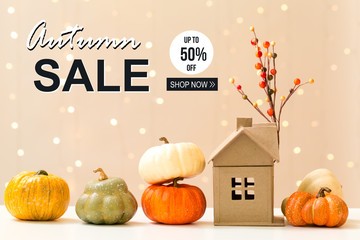 Autumn sale theme message with collection of autumn pumpkins with a toy house