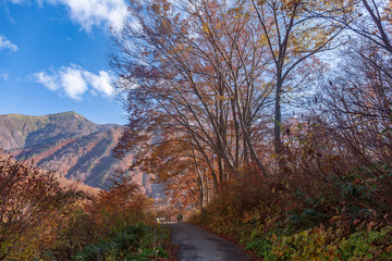 マチガ沢から谷川岳と紅葉