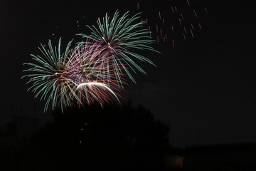 Fireworks exploding during a Fireworks Festival, Tokyo, Japan