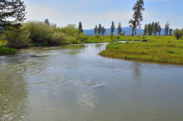 Wood River in Jackson Kimball State Park Oregon