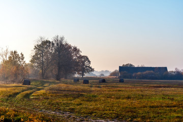 Fototapeta premium Abstract autumn rural landscape in the foggy morning.