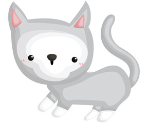 a vector of a cute and adorable cat
