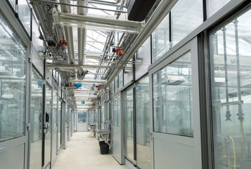 Gewächshaus mit Gewächshauskabinen, Flur mit Versorgungstechnik für Einzelkammern