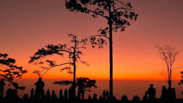 the silhouette of Tourists are waiting to see sunrise at pha Nok Aen viewpoint Phu Kradueng National Park, Loei, Thailand