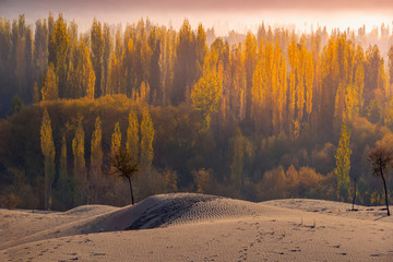 Sand desert at skardu. Northern Area Pakistan