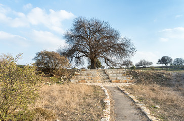 The path  and stone stairs leading to the ruins of the destroyed Roman temple, located in the fortified city in the territory of the Naftali tribe in Tel Kadesh in the north of Israel