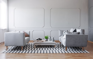 Copy space on the empty wall of elegant grey living room with two comfortable sofa and small coffee...